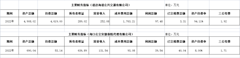 ?？诠患瘓F(tuán)及下屬各子公司2022年度信息公開財務(wù)主要指標(biāo)明細(xì)2_副本.png